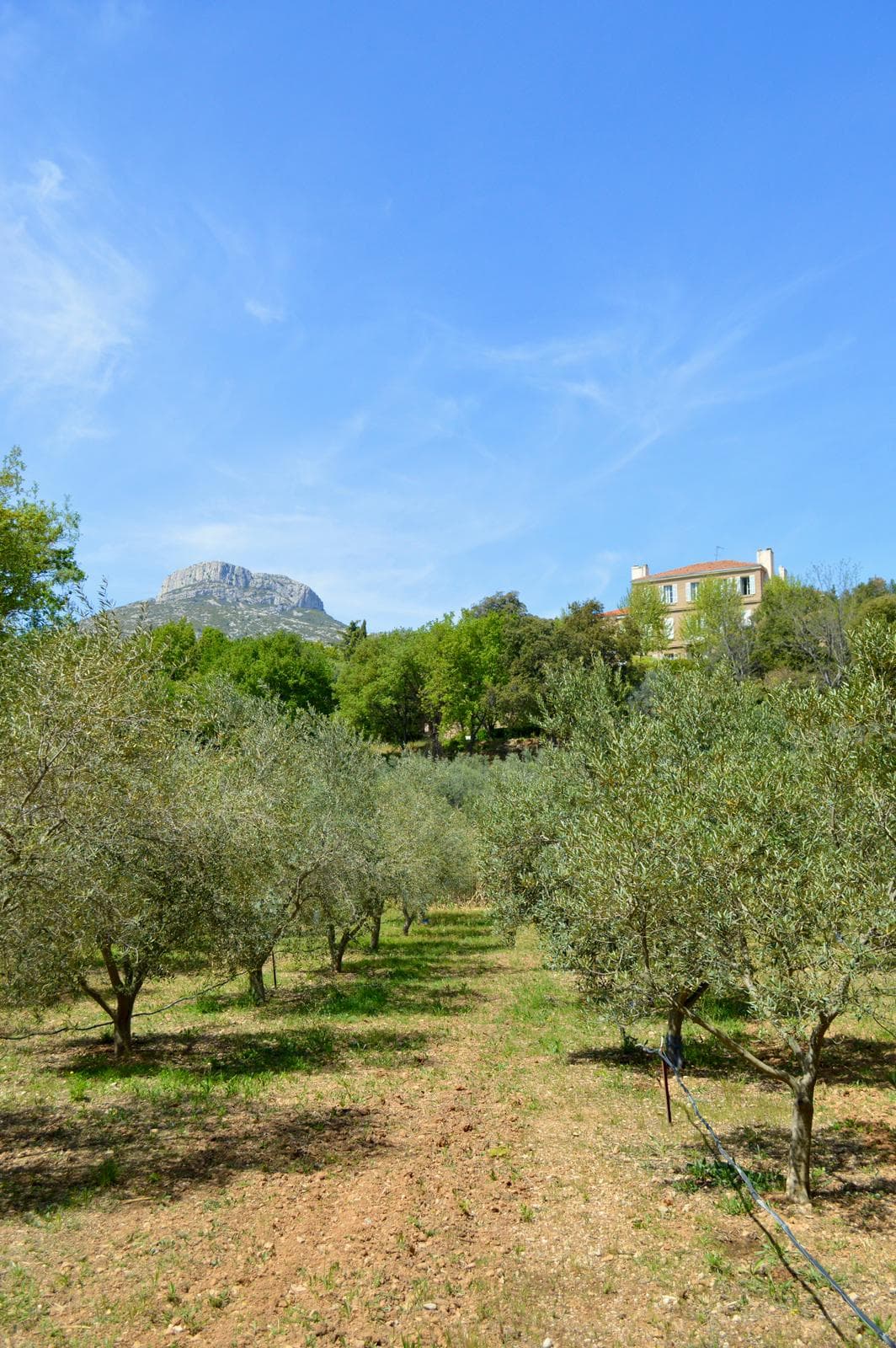 Collection privée — L'essence du Garlaban